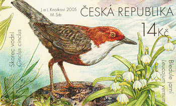 Tschechische 14 Kronen Briefmarke mit der Abbildung einer Wasseramsel