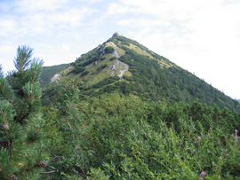Aufstieg vom Sedlo Vrata zum 1.513 m hohem Stratenc