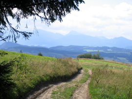 Wanderweg kurz vor Borove - im Hintergrund die West-Tatra