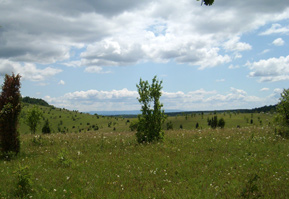 Große Hochflächen werden im Nationalpark Aggtelek, Ungarn, von der Landwirtschaft nicht genutzt