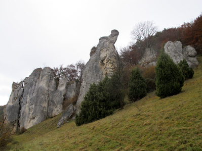 Felsen mit Wachholderbüsche bei Dollnstein