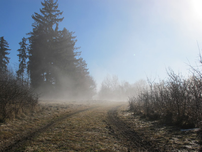 Im Altmühltal hält sich  zäh der Nebel, aber auf dem Arzberg beginnt er sich gegen 11 Uhr aufzulösen