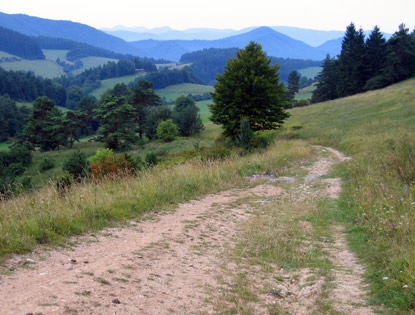 Von Vrechtepla bei Považská Bystrica (Waagbistritz) wandern wir in Richtung der Súľovské vrchy (Sulower Felsen).
