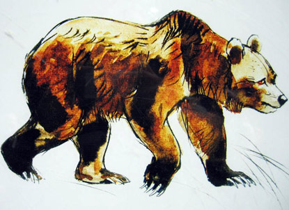 Wenn man schon keine Bären in der Natur sieht - Hinweisschilder gibt es schon in der Malá Fatra (Kleine Fatra)