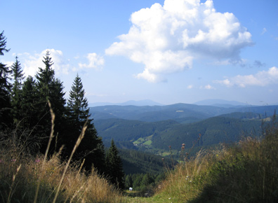 Vom Kammweg am Velký Javornik Blick ins Tal in Richtung Beskiden (Tschechien)