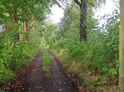 Am Bahnhof von Wensickendorf verl�uft der 66-Seen-Weg auf dem Solzenhagener Weg