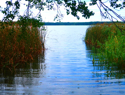Blick auf den Wandlitzsee
