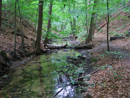 Hellm�hler Flie�