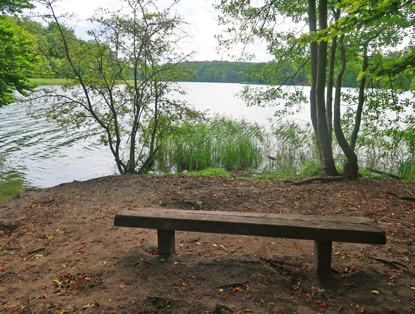 B�nke am Ufer des Liepnitzsees