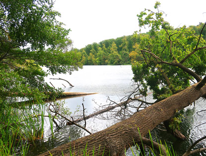 Obersee unmittelbar von der Autobahnbr�cke aus gesehenn