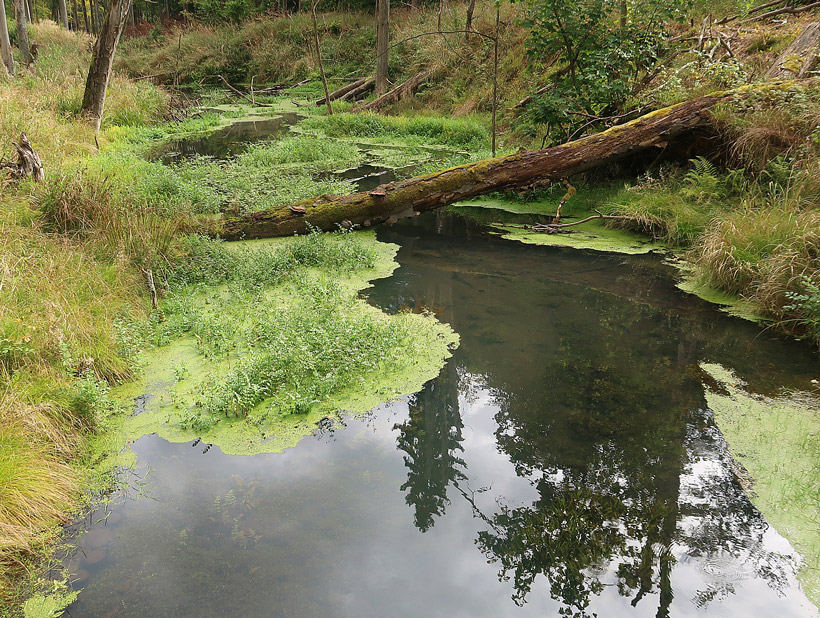 Nonnenflie�-Tal in Brandenburg