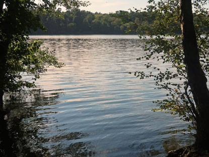 Bliclk vom Ostufer auf den B�tzsee