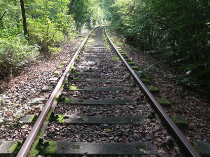 Stillgelegte Bahnstrecke zwischen dem Langen Haussee und dem Mittelsee