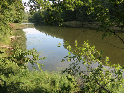 Langer Haussee hat eine L�nge von 1,5 km 