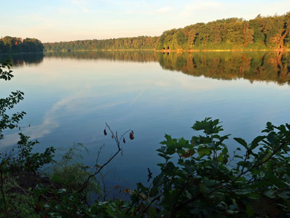 Straussee am Morgen von unserem Hotel aus gesehen