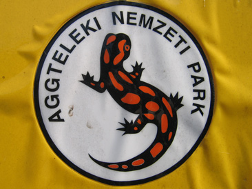 Das Symbol für den Aggteleki Nemzeti Park (Nationalpark Aggtelek )in Ungarn ist der Salamander