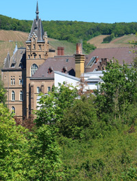 Klostr Calvareienberg bei Ahrweiler