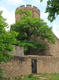 Alemannenweg Odenwald: Bergfried und Außenmauer vom Schloss Alsbach