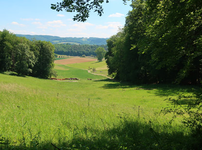 Alemannenweg Blick ins Gersprenztal in der Nähe der Hütte Heils-Ruhe