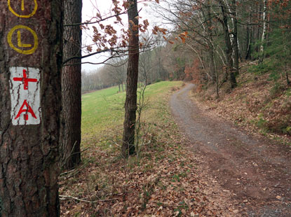 Wanderwweg unterhalb des Heikligenbertgs beim Ort Böllstein