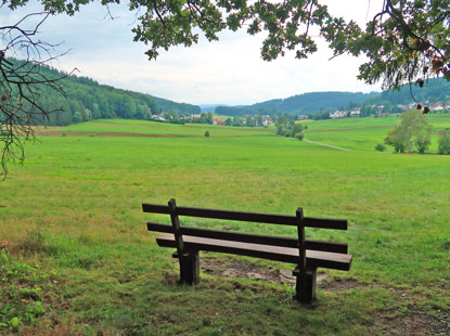 Gras-Ellenbach- Wiese