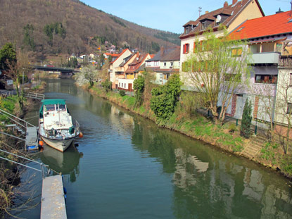 Elsenz mündet bei Neckagemünd in den Neckar