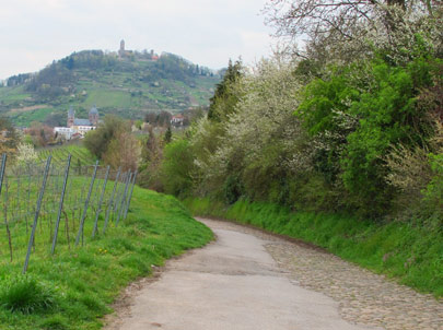 Wandern Odenwald: Blick auf Heppenheim und der Starkenburg