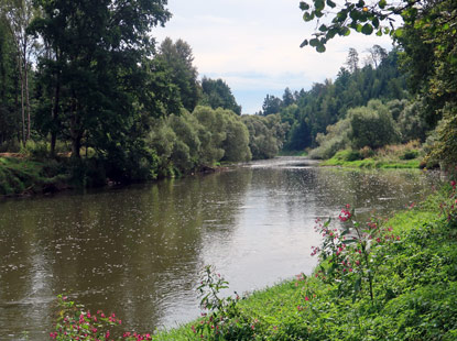 Der Fluss Lainsitz bei Dobronce (Dobronitz)