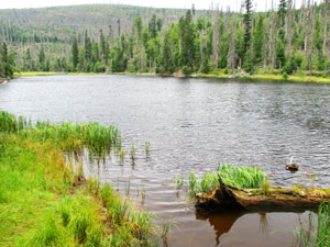 Der  Jezero Laka (Lackensee)