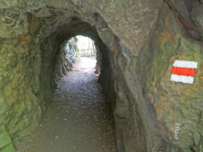 Extra für den  Rieger-Pfad wurde ein 12 m langer Tunnel im Jahre 1909 in den Fels gesprengt