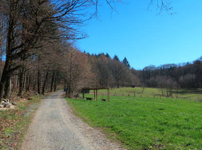Camino Odenwald: Neunkircher Weg verbindet Brandau mit Neunkirchen