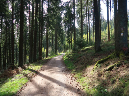 Camino incluso Odenwald: Renterweg bei Siedelsbrunn