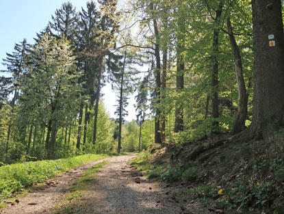 Camino incluso: Wanderweg Camino incluso beim Naturfreundhaus Kohlhof im Odenald