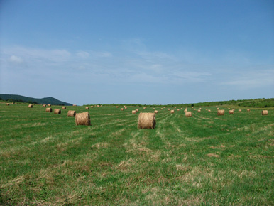Die Region Cserhát schließt sich westlich an das Mátra-Gebirge an. Geprägt wird die Landschaft durch  Hügel, Wiesen Felder und kleine Wälder.