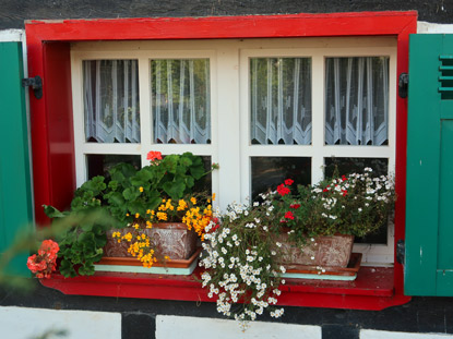 Eifelstig Etappe 5: Blumenschmuck an einem Fachwerkhaus in Golbach