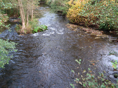 Eifelsteig Etappe 5: Fluss Olef im gleichnamigen Ort wird überquert