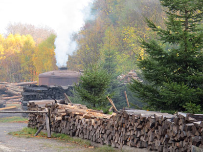 Die Köhlerei am Stemberghaus stellt jedes Jahr 150 Tonnen Holzkohle her.