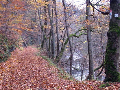 Zwischen Treseburg und Altenbrak verläuft der Harzer Hexen-Stieg entlang der Kalten Bode.