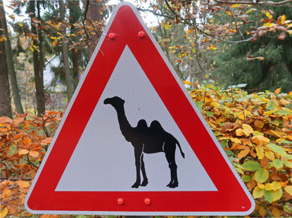 Warnung vor freilaufenden Kamelen