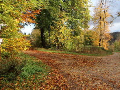 Der Hermannsweg verl�uft auf halber H�he den Barenberg
