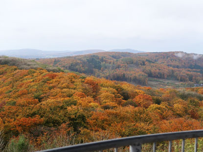 Blick nordwestlich vom Fernmeldeturm Dissen