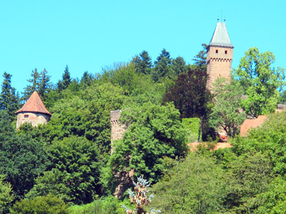 Die Burg und Schlossanlage von Hirschhorn.