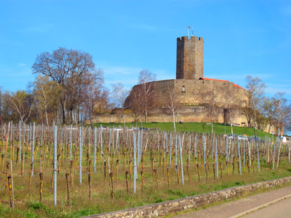 Da die Burg Steinsberg schon von Weiten zu sehen ist, wird sie „Kompass des Kraichgaus“ genannt. Mit 333 Metern ist es die höchste Erhebung des Kraichgaus