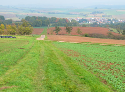 Wanderung entlang der Lahn: Blick ins Lahntal und auf den Ort Goßfelden
