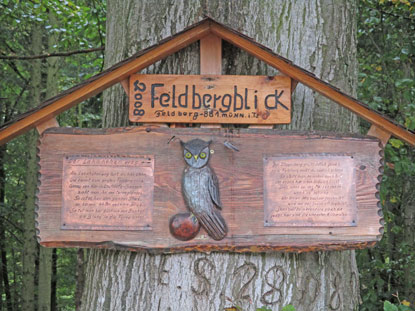 Feldbergblick oberhalb von Laufdorf.