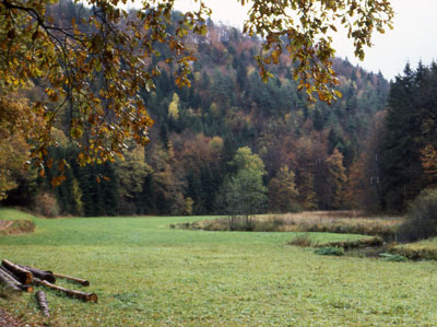 MD-Weg: Das  weite Tal entlang der Aufse - ideal zum Wandern.