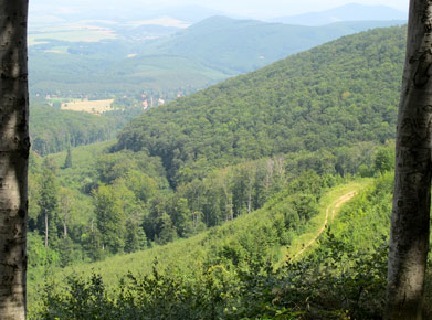 Der Mátra berc túra (Gratweg) bietet Aussichten in die Täler. 