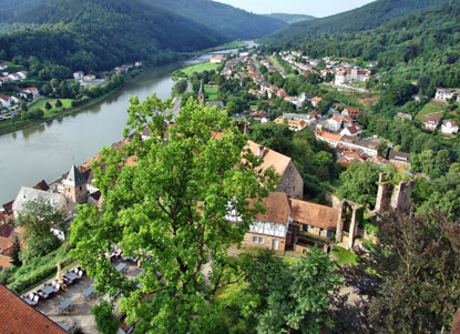 Blick vom Hirschhorner Schloss auf den Neckar und die Altstadt von Hirschhorn