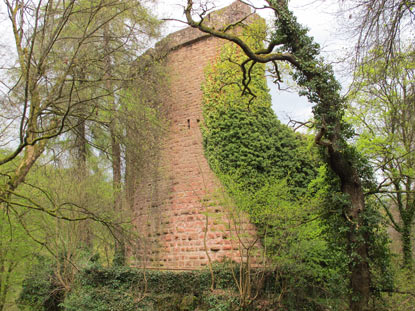 Die stärkste Befestigung (Schildmauer) hatte die Burg Stolzeneck auf der Bergseite. Die Schildmauer ist begehbar.