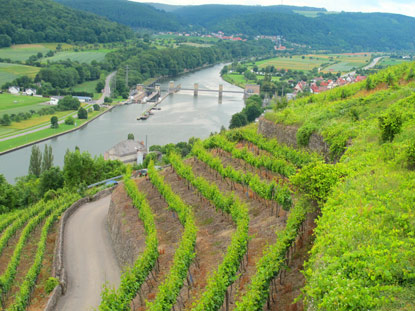 Bereits 1.500 Jahren wird auf Steillagen bei der Burg Hornberg Weinanbau betrieben. Burg Hornberg gilt als das zweitälteste noch existierende Weingut der Welt.